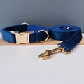 Gold Collar Leash