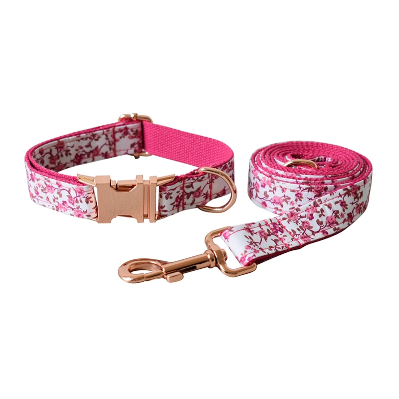 Dog Collar Leash Set