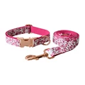 Dog Collar Leash Set