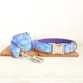 Dog Collar Leash Set