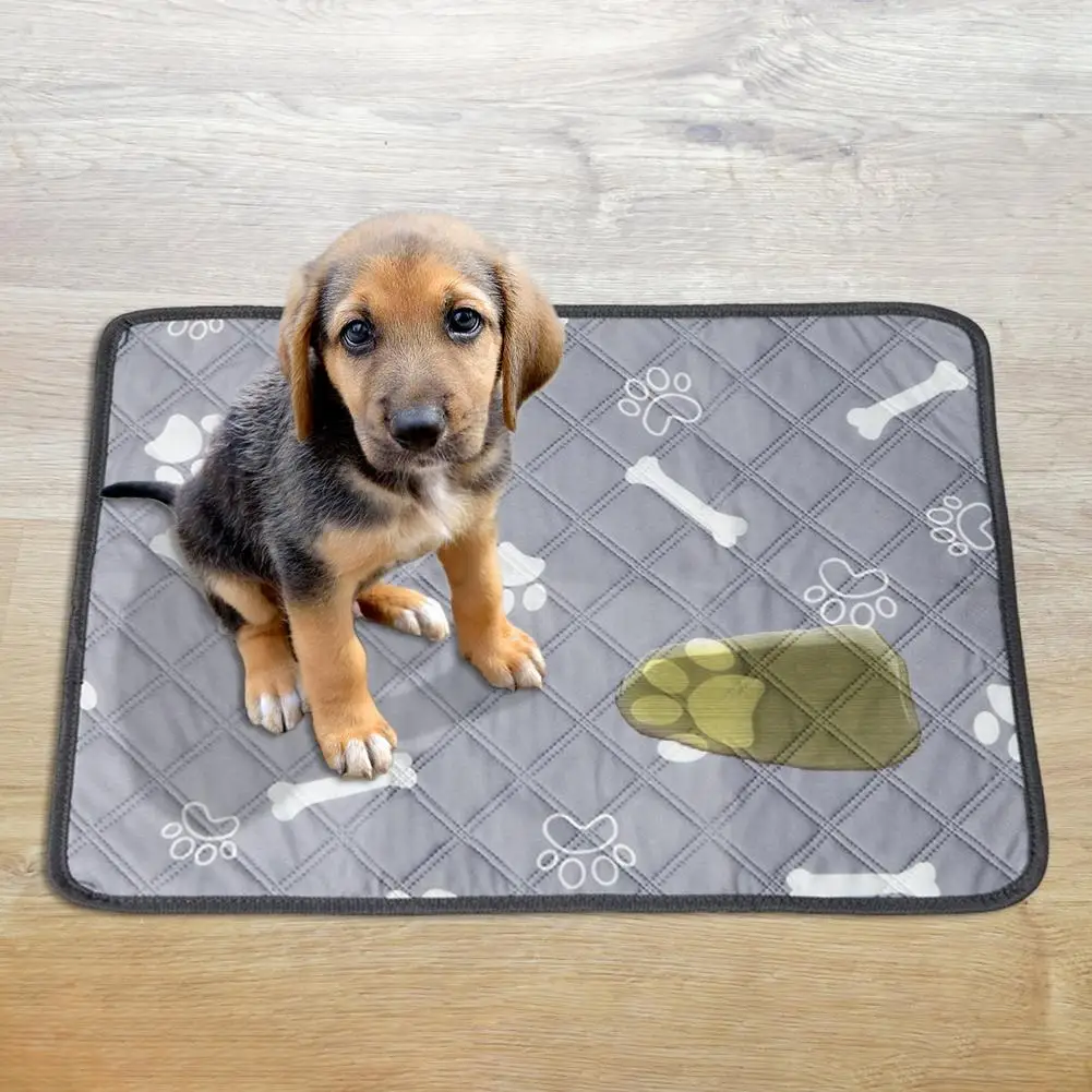 Pañal reutilizable lavable para perro y gato, almohadilla cambiante para urinario, cojín de entrenamiento para perros, funda de asiento, suministros para mascotas - imagen 5