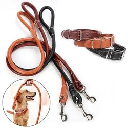 Conjunto collar y correa de cuero para perros grandes - resistente