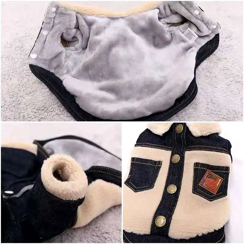 Chaqueta de perro para Otoño/Invierno, abrigo grueso, guapo, oso de peluche, doble, suministros de ropa para mascotas en Stock ahora en la temporada Popular - imagen 3