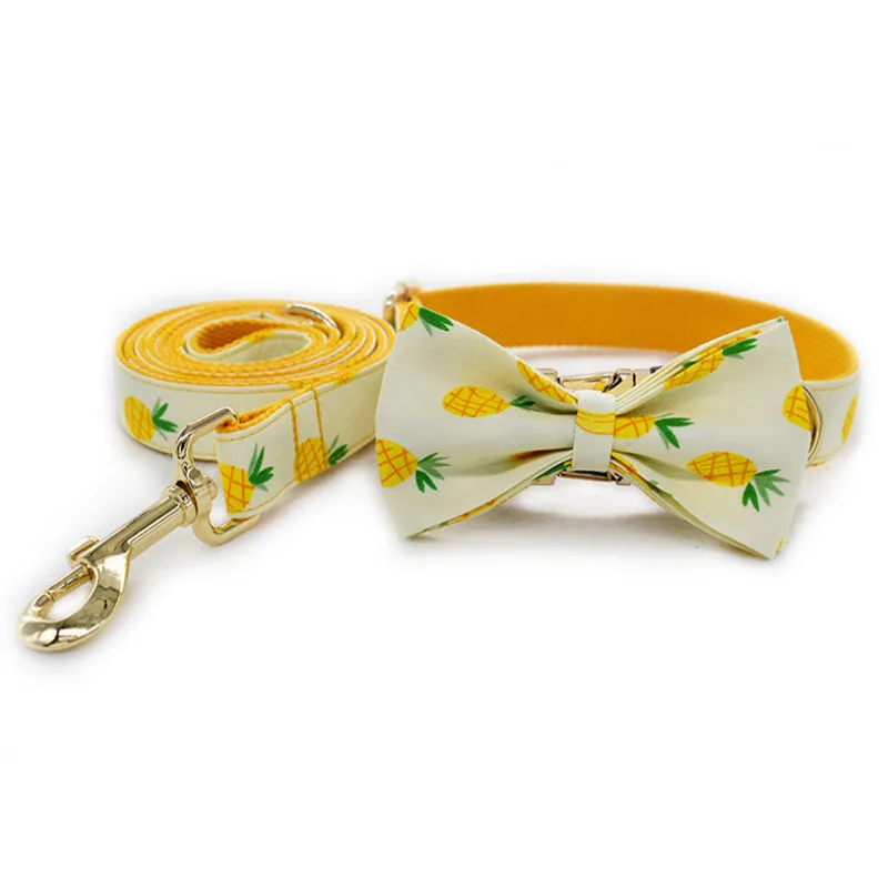 bowtie collar leash