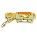 bowtie collar leash