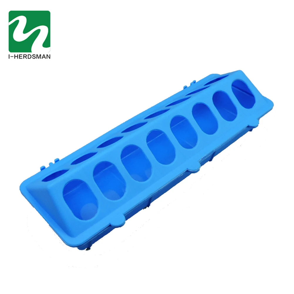 Alimentador de pollo abatible para aves de corral, fuente de tierra para palomas, comedero para aves de corral, herramienta de cría de pollos, faisán, 30/50cm - imagen 5