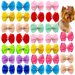 Lazos y coleteros para perros – Complementos caninos