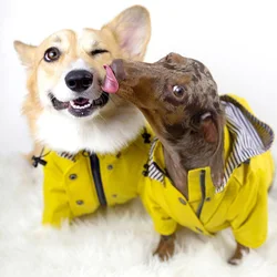 Chaqueta impermeable para Shiba Inu, Bulldog y perros medianos