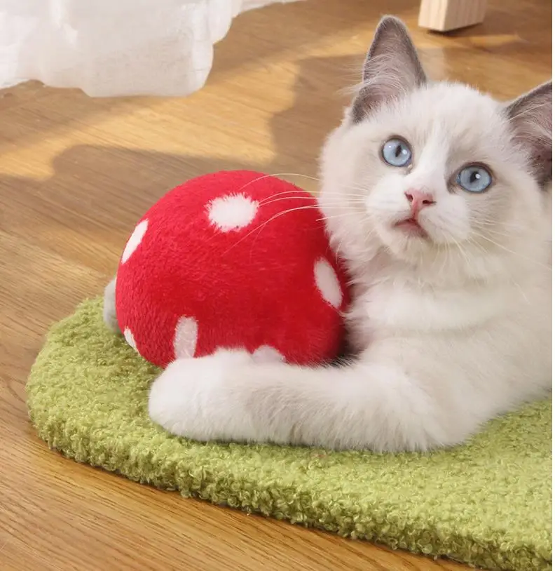 Diferentes colores disponibles - variedad