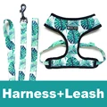 Green Harness Leash