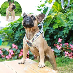 Arnés ajustable con correa para perros - Bulldog Francés y Doberman