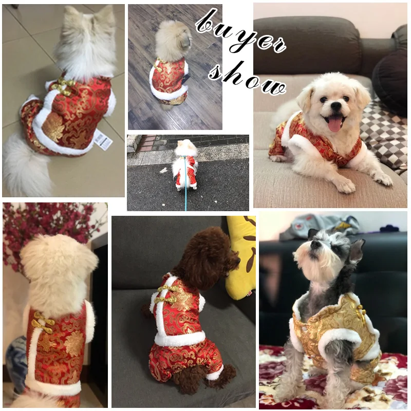 HOOPET-Mono de cuatro pies para perro y gato, traje Tang tradicional de Año Nuevo Chino, chaqueta acolchada con forro polar cálido - imagen 2