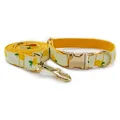 collar leash set