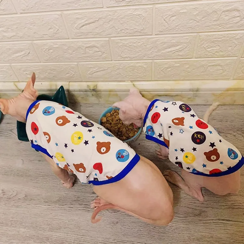 Chaleco de dibujos animados para mascotas, ropa de primavera y verano para cachorros, osito de peluche, Panda, suministros para mascotas, novedad - imagen 2