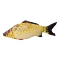 Crucian carp 20cm
