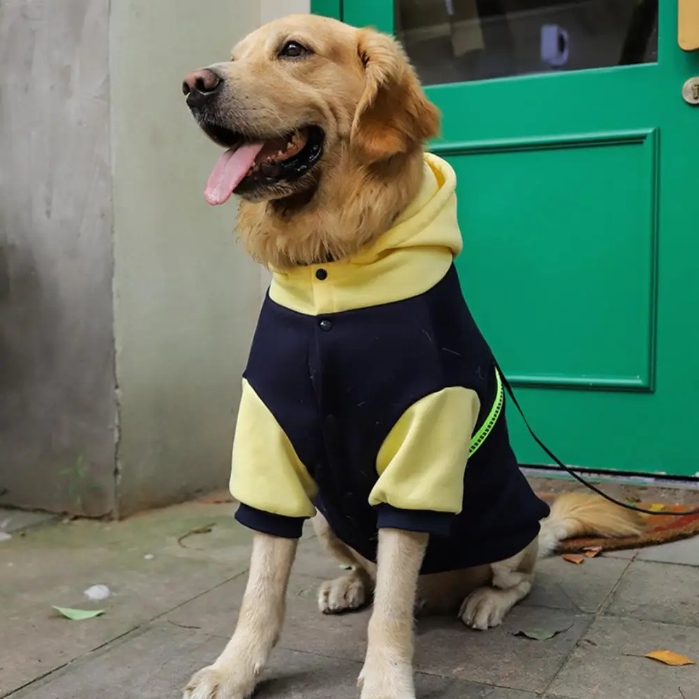 Ropa para mascotas, abrigo, chaqueta con capucha, suéter, estilo deportivo - imagen 4