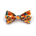 bowtie