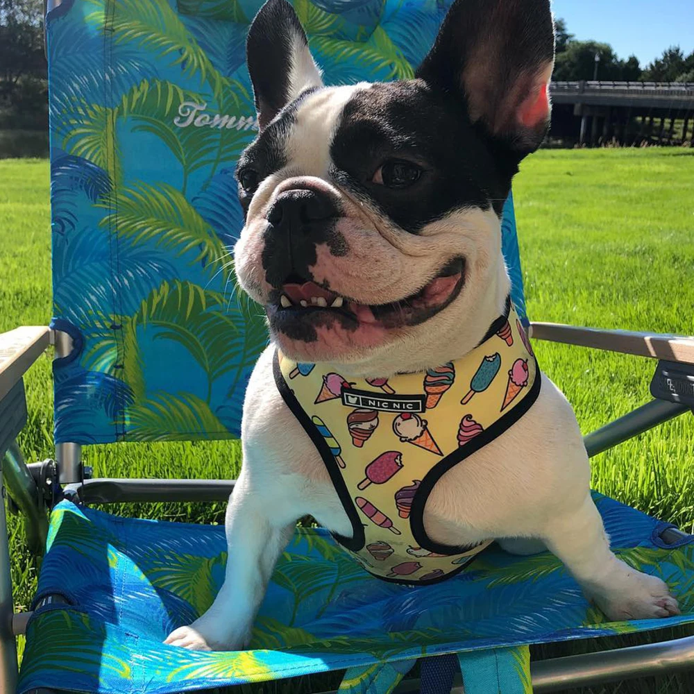 Arnés para perros pequeños de verano, chaleco sin tirones para perros medianos y grandes, conjunto de correas, mascotas transpirables, cachorros, Bulldog Francés - imagen 4