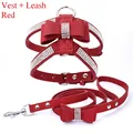 Harness Leash Red