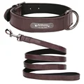 Brown Collar Leash