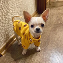 Jersey térmico para perros toy: Pomerania, York y Chihuahua