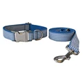 Dog Collar Leash Set