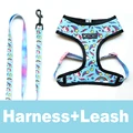Blue Harness Leash