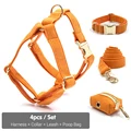 Harness Collar Set