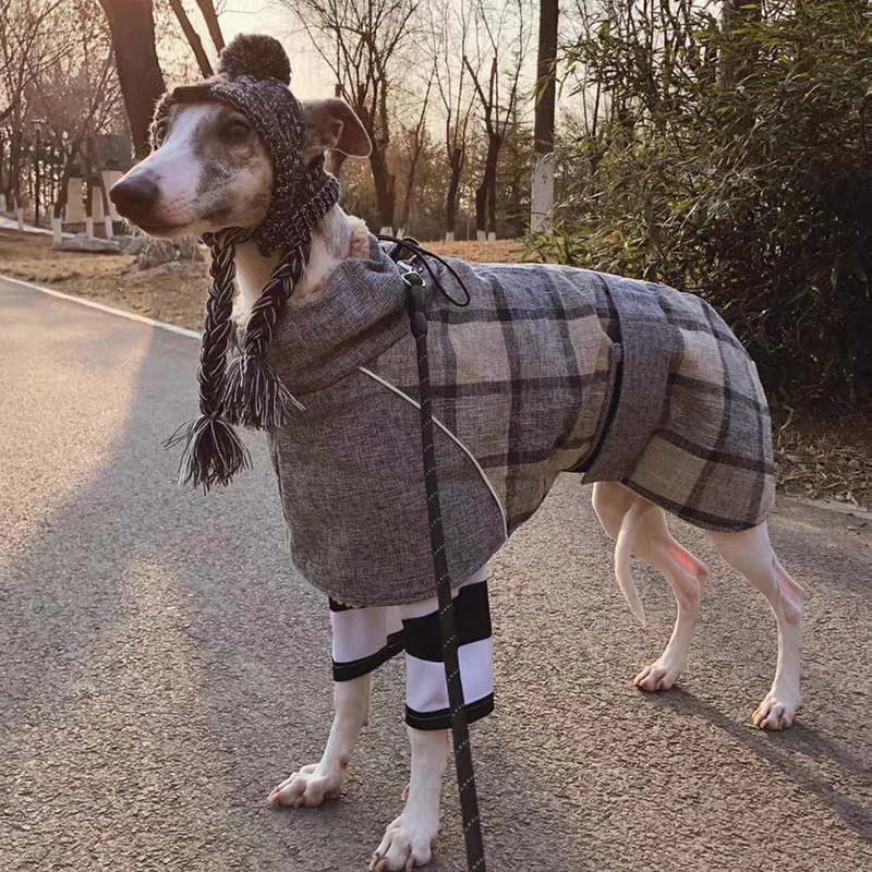 Ropa de invierno para perros grandes, chaqueta cálida de lana para mascotas para perros medianos y grandes, abrigo con estampado a cuadros y cinturón ajustable Weimaraner Greyhound - imagen 5