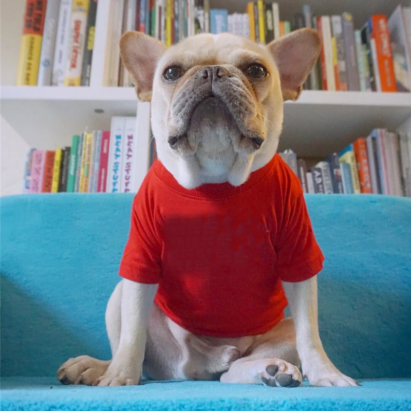Ropa de verano para mascotas, camiseta de Bulldog Francés de algodón sólido para perros pequeños y medianos, accesorios para perros, suministros para mascotas, chaleco para gatos, camisas - imagen 4