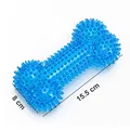 Blue Bone Dog Toy