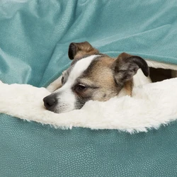 Cama ortopédica con capucha para perros pequeños – Cálida e impermeable