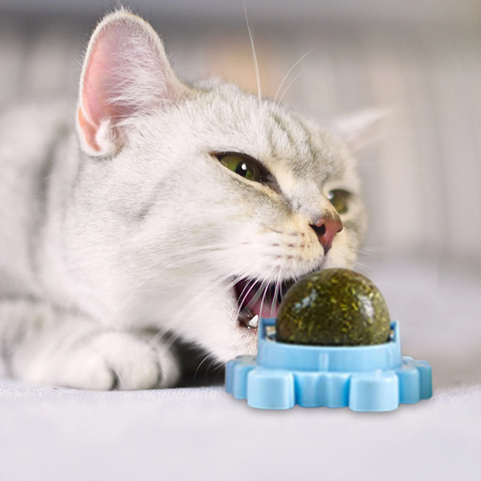 Juguete interactivo giratorio de 3 piezas para gatos, Bola de hierba gatera, juguete para gatitos de dentición, saludable, natural, dientes limpios - imagen 2