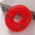 Red Ring Dog Toy