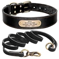 Black collar leash