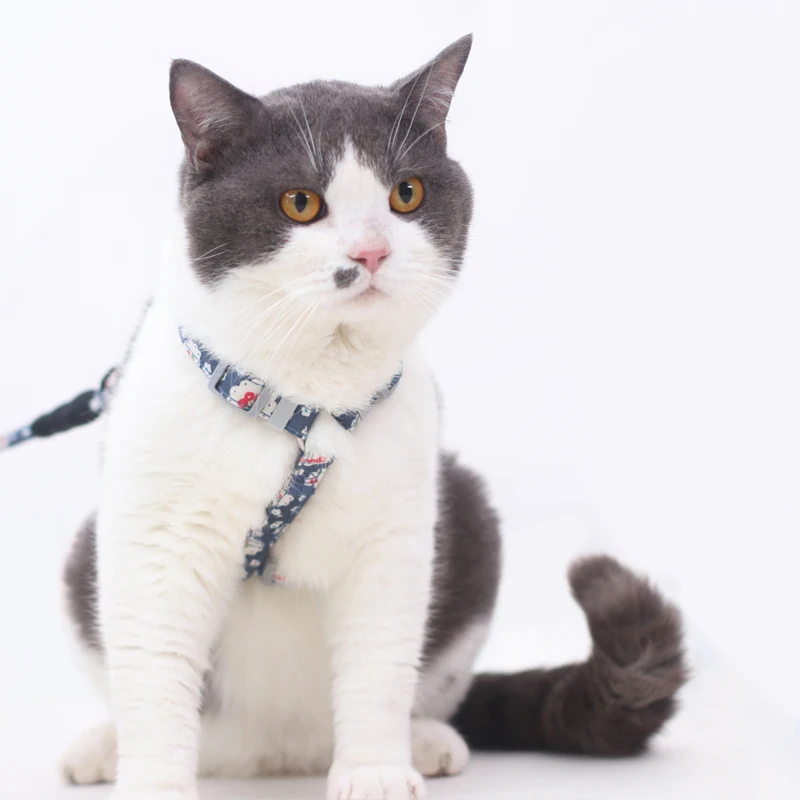 Conjunto de arnés y correa ajustables para gatos, productos para mascotas para caminar, correr, accesorios para gatos, mascotas, arneses kedi mascota, harnais chat - imagen 4