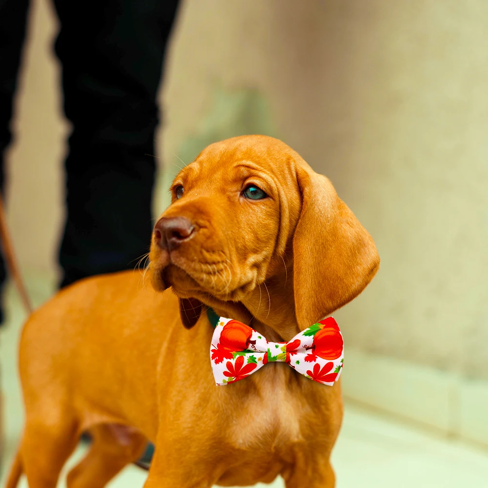 50/100 Uds. Accesorios para perros de otoño, pajarita para perros, suministros para mascotas de Acción de Gracias, pajaritas para perros, pajarita móvil para perros, dijes para Collar - imagen 2