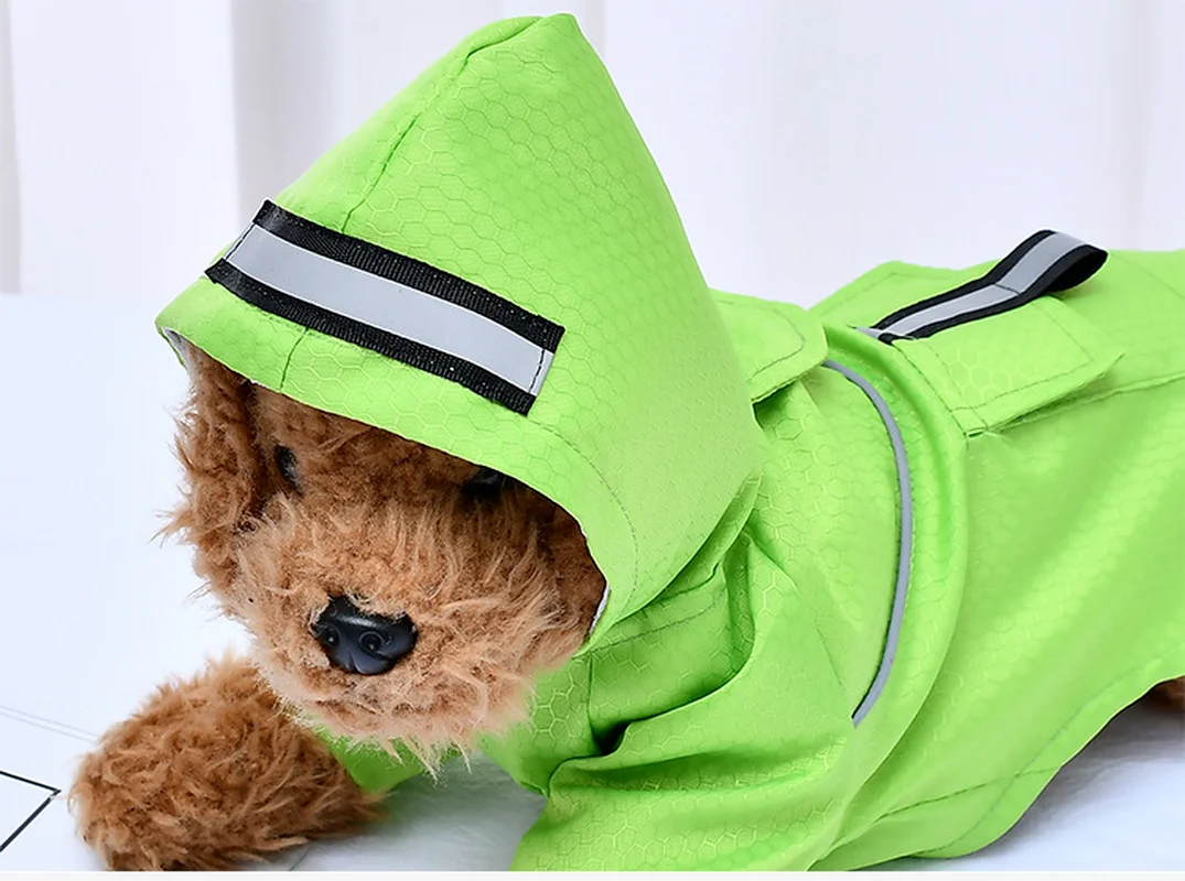 Un pequeño perro marrón con un impermeable verde