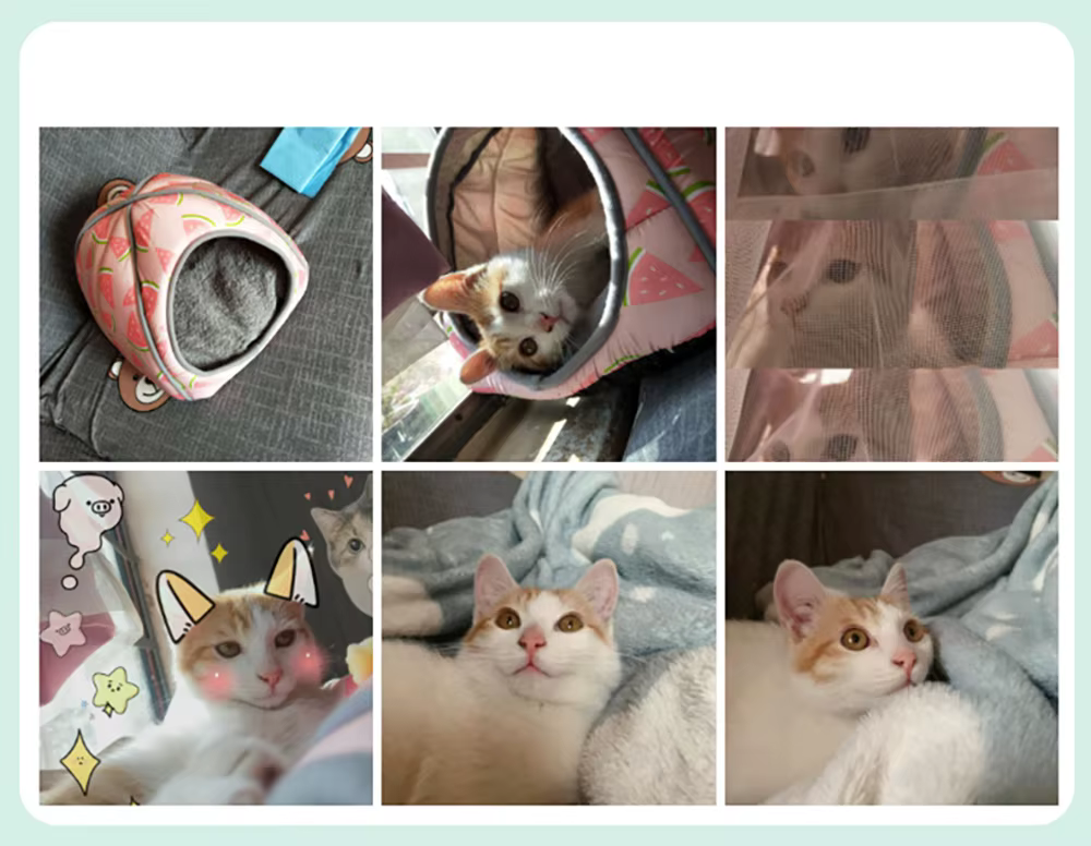 Cama nido para gatos colocada en un rincón del salón