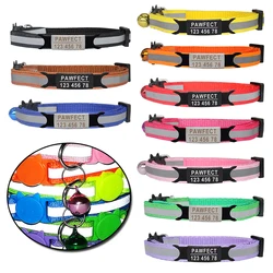 Collar reflectante de seguridad para gatos con hebilla