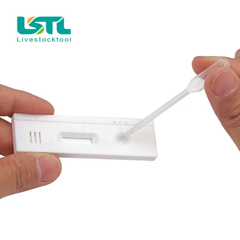 Tira de prueba de progesterona coloidal de oro para ganado bovino, cinta de Prueba de papel para embarazadas, detección de embarazo, equipo de granja veterinaria, 5 piezas - imagen 2