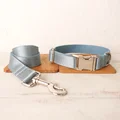Dog Collar Leash Set