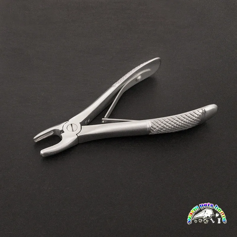 Fórceps de extracción de dientes de acero inoxidable para niños, instrumento Dental para perros y gatos - imagen 4