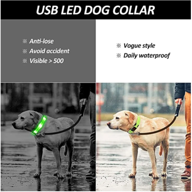 Perro usando collar LED COOYOMOO versión pilas