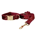 Dog Collar Leash Set