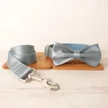 Bow Tie Collar Leash