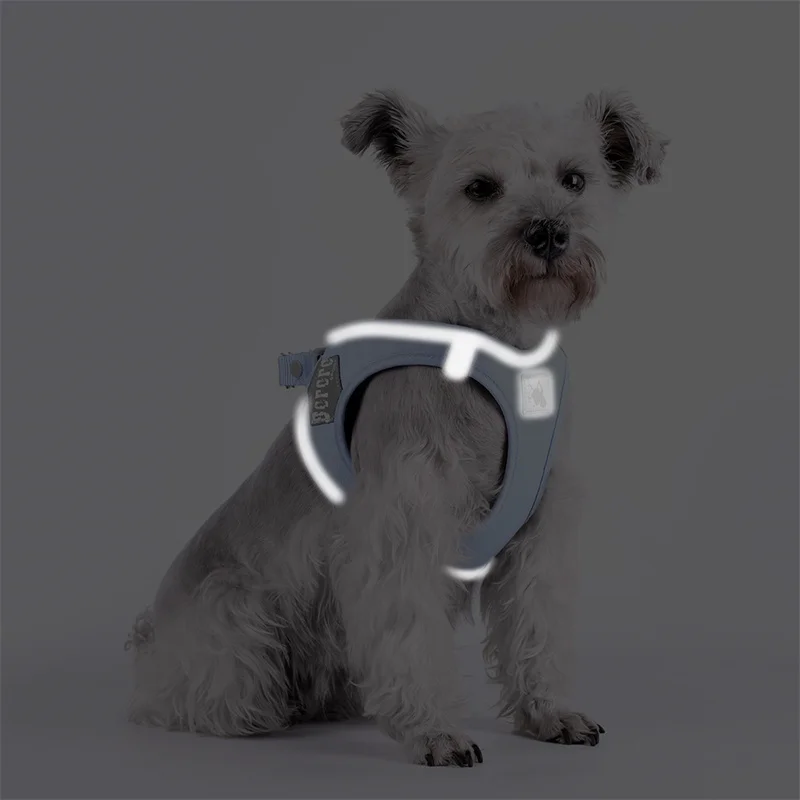 Chaleco reflectante para cachorro, gato y perro, conjunto de arnés y correa para perros pequeños y medianos, arnés para Mascotas Schnauzer Chihuahua Macaron - imagen 3