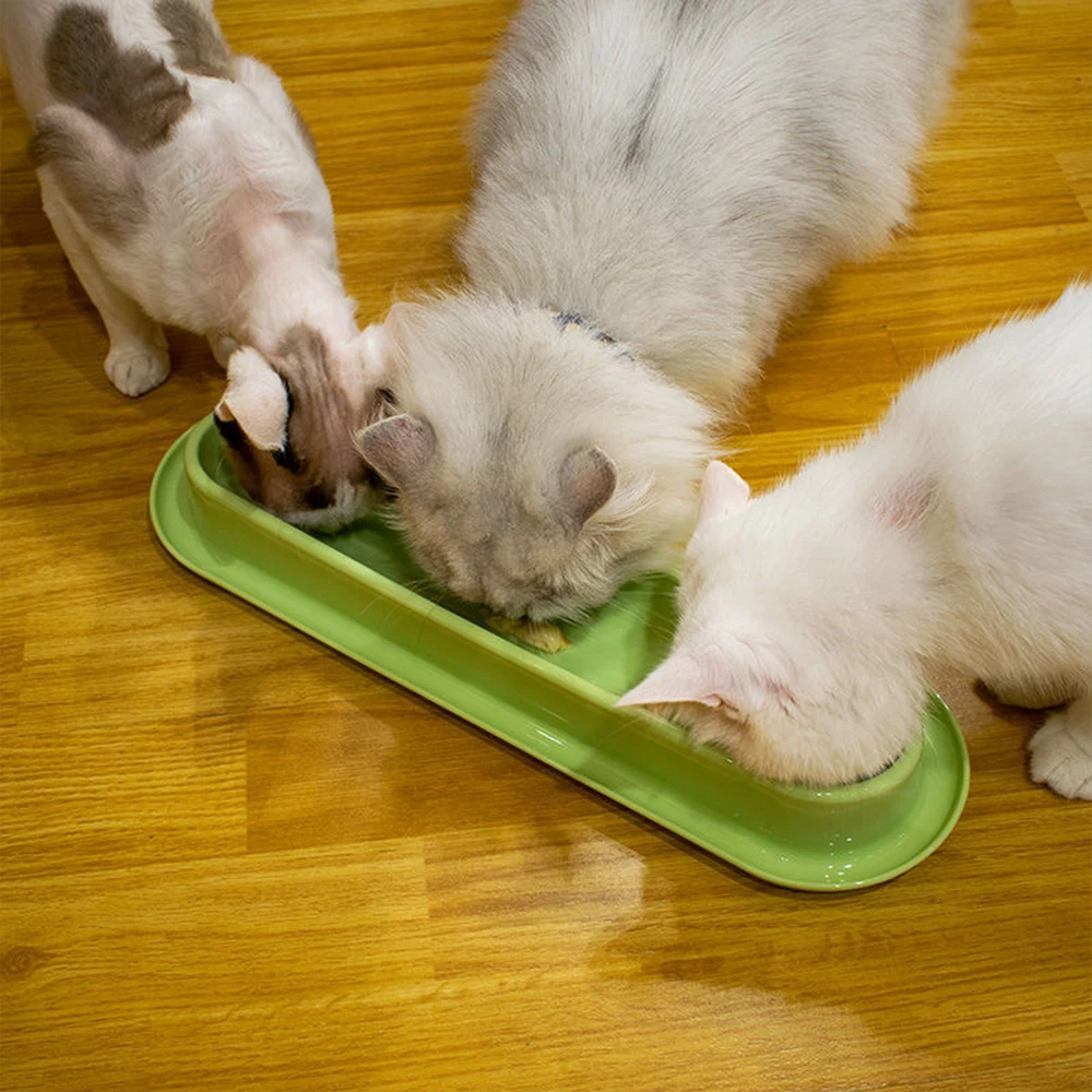 Cuenco largo de comida para gatos, estación de alimentación múltiple para gatos, plato de leche para gatitos, cuenco de agua antiderrames inclinado para gatitos y gatos adultos, antideslizante - imagen 2