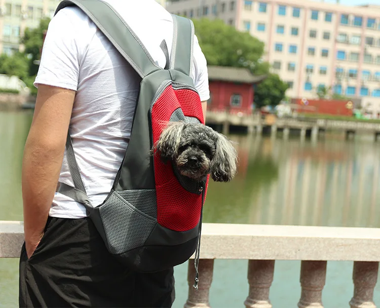 9275425331_1847764777