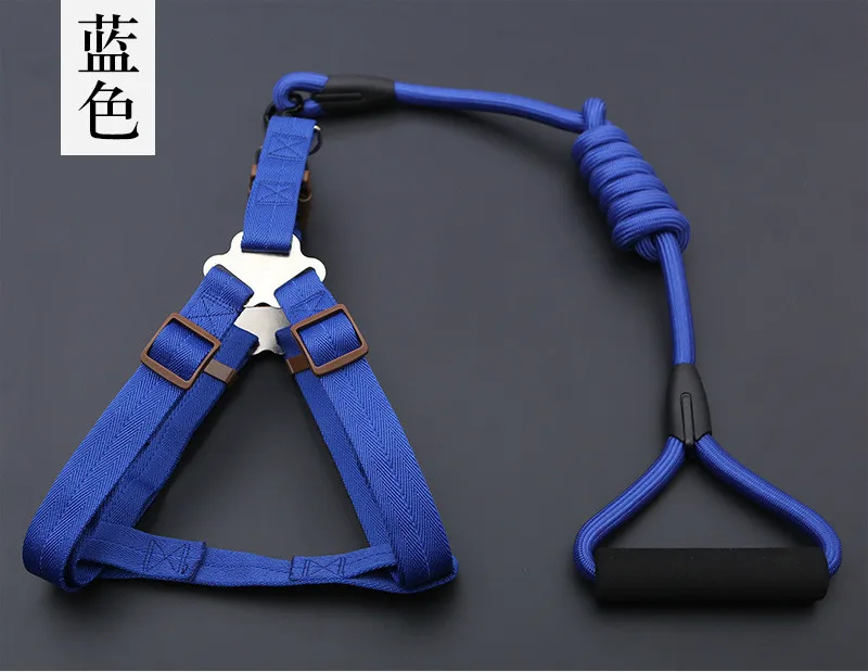 Conjunto de collares para perros y cachorros pequeños, correa con hebilla ajustable, arnés para perros grandes, correa para caminar para Chihuahua, chaleco con arnés para mascotas - imagen 4